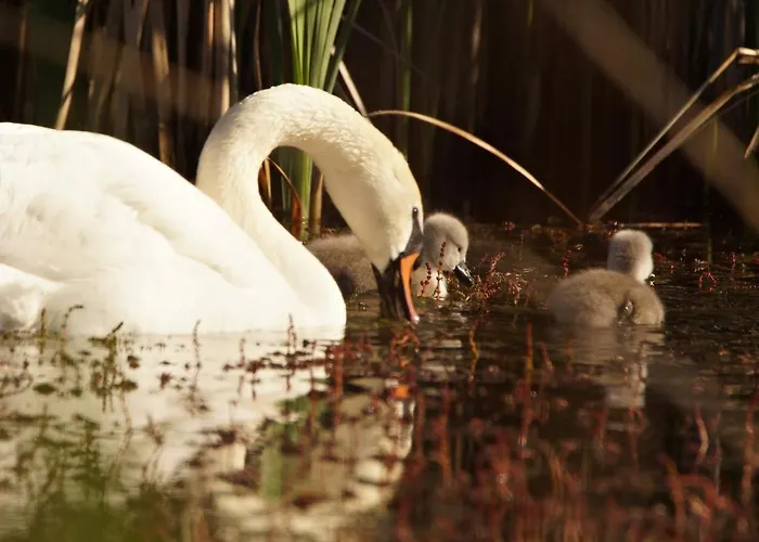 Citellus Appartement *