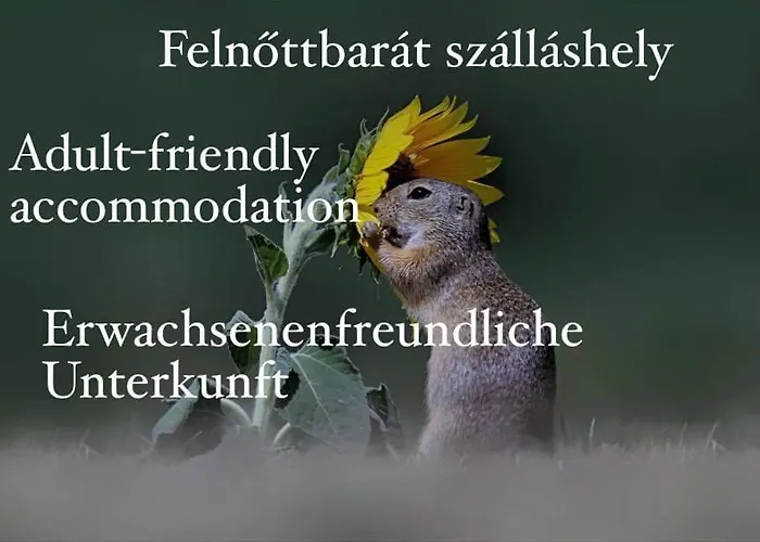 Citellus Appartement Dunasziget